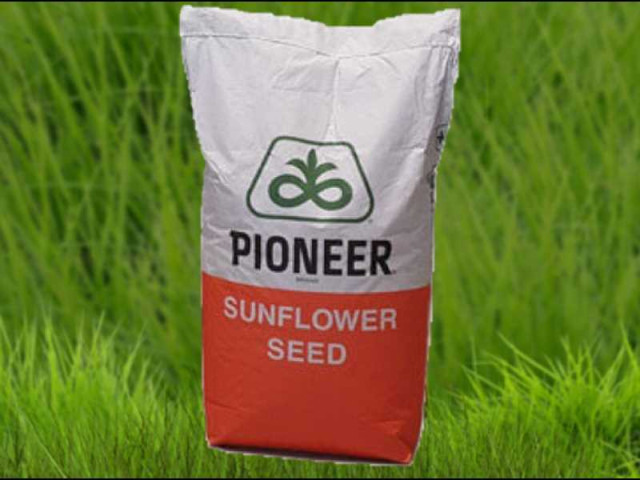 Как подобрать и правильно использовать семена подсолнечника пионер в своем саду или огороде - непревзойденное качество и урожайность