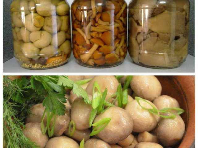 Сколько можно хранить маринованные грибы домашнего приготовления