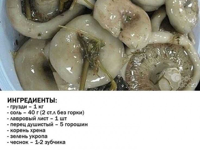 Соленые грибы рецепты приготовления