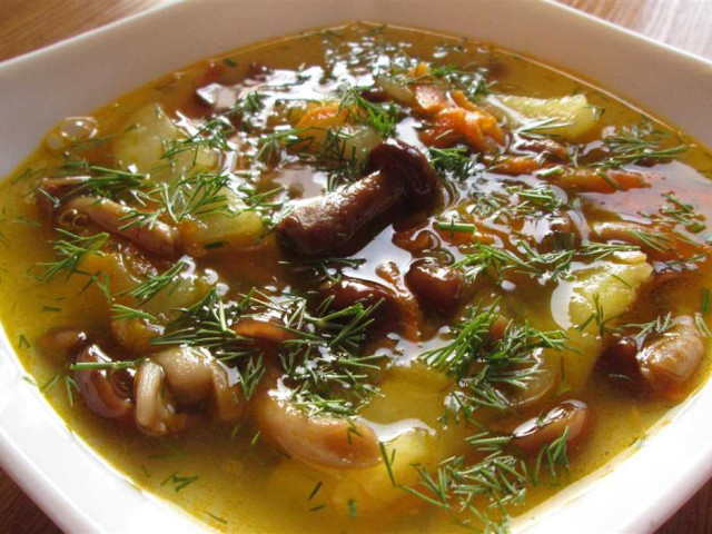 Суп с опятами - рецепт приготовления и полезные свойства