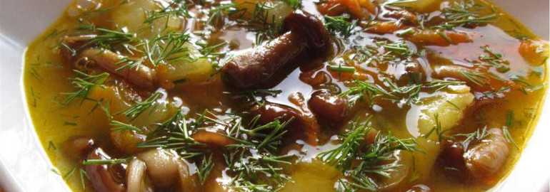 Суп с опятами - рецепт приготовления и полезные свойства