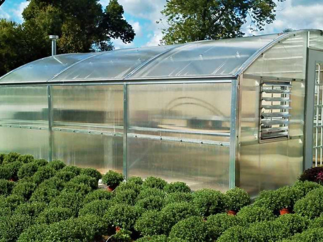 Теплицы из поликарбоната — как правильно выбрать модель для успешного садоводства и огородничества