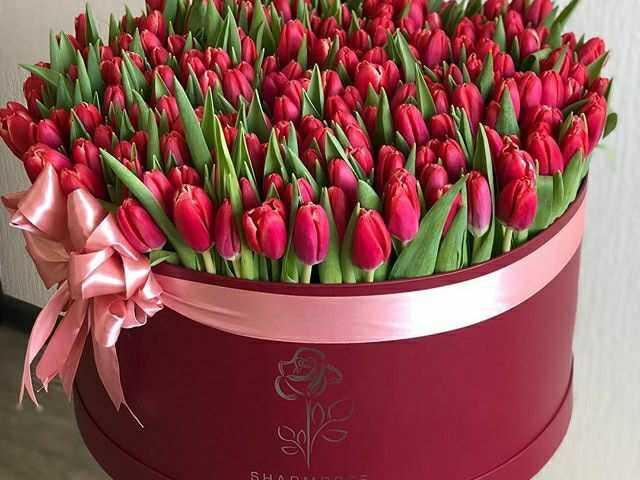 Самые красивые и свежие тюльпаны в коробке - прекрасный подарок на любой праздник!