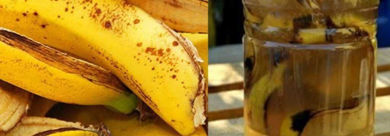 Как сделать удобрение для комнатных растений из банановой кожуры