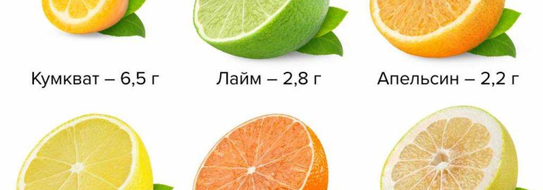 Виды цитрусовых фруктов - орлеанский мандарин, сатсума, грейпфрут, бергамот, кинкан, лайм, лимон, апельсин