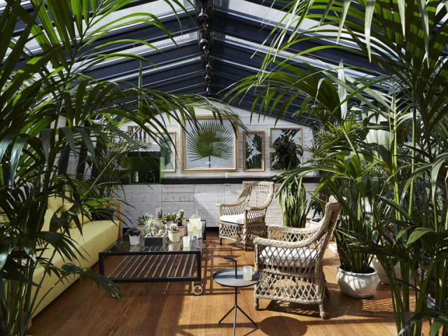 Зимний сад в частном доме - фото, интерьер, дизайн — идеи для создания уютного и стильного пространства