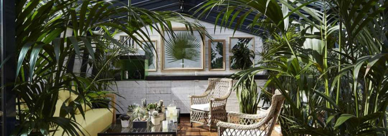 Зимний сад в частном доме - фото, интерьер, дизайн — идеи для создания уютного и стильного пространства