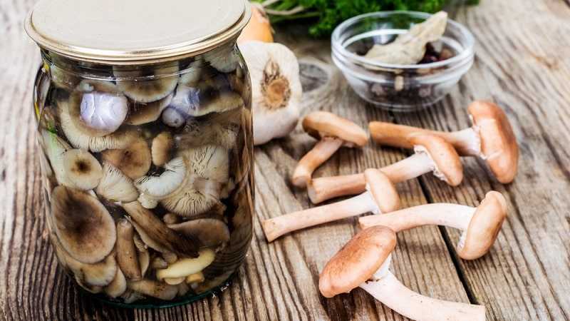 Сколько хранятся маринованные грибы в холодильнике