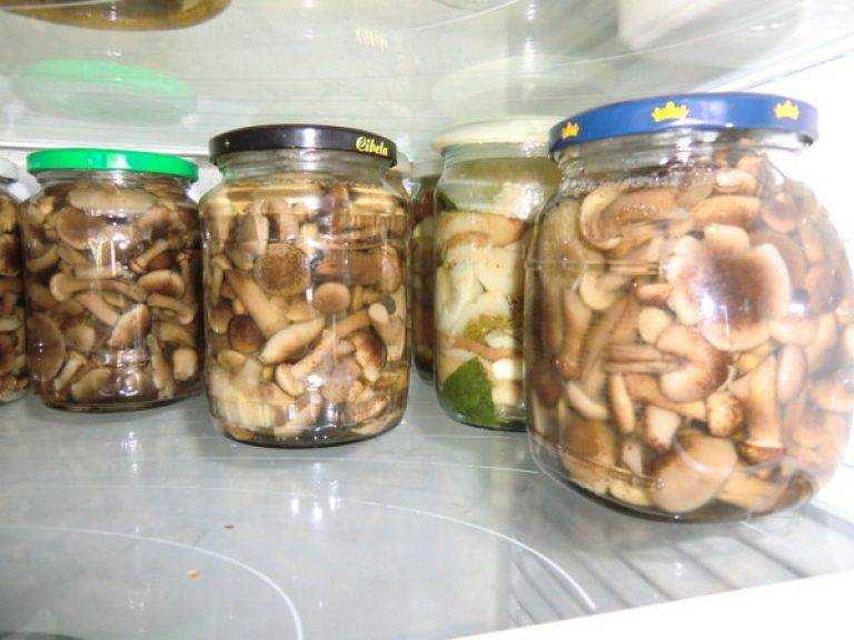 Сколько можно хранить маринованные грибы в холодильнике