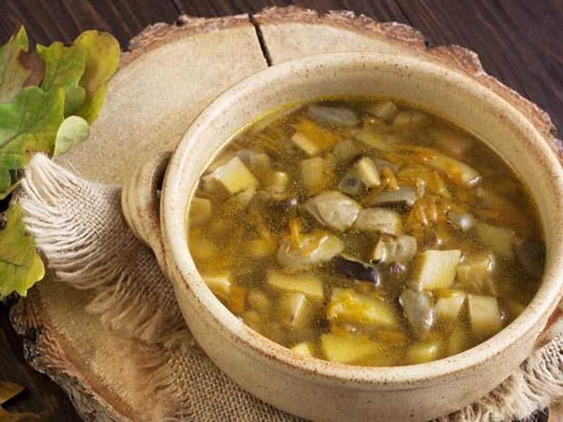Грибной суп с шампиньонами и перловкой: классический рецепт