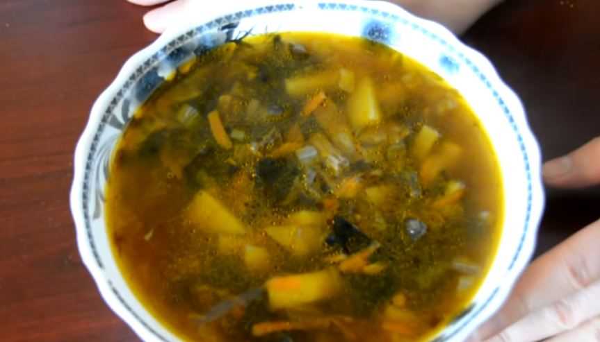 Сморчковый суп: идеальный вариант для грибных ужинов