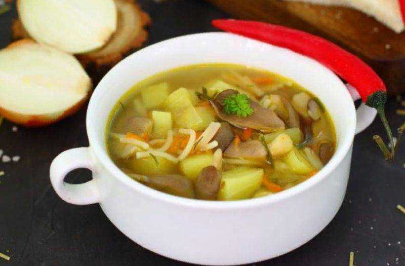 Куриный суп с вермишелью и грибами: насыщенный и полезный