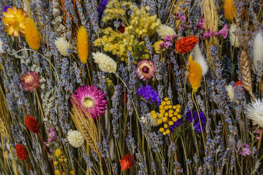 Композиции из сухоцветов: уникальное творчество