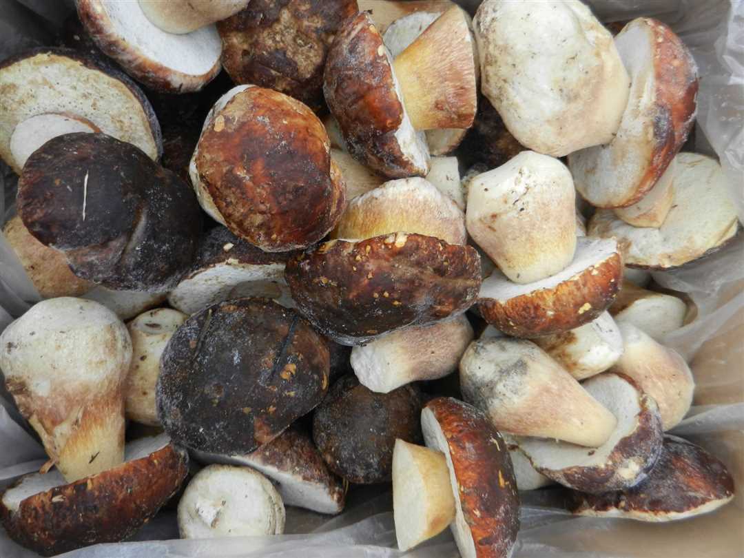 Замороженные белые грибы: варианты приготовления без хлопот